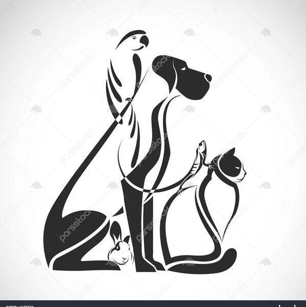 عکس گربه و سگ و خرگوش
