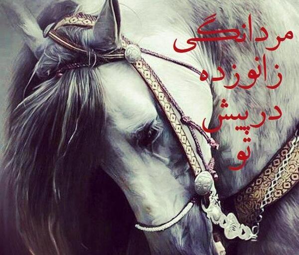 عکس اسب حضرت علی اکبر