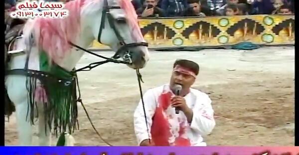 عکس اسب حضرت علی اکبر