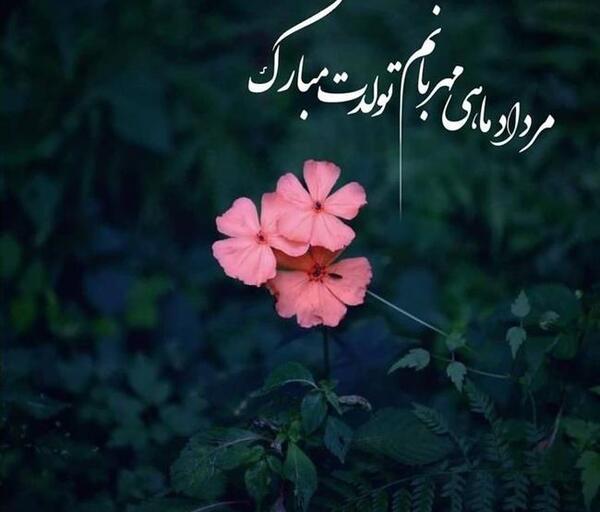 عکس تولد مرداد ماهی همسر