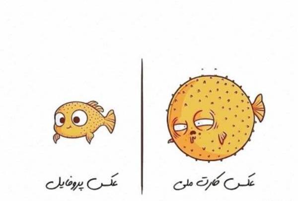 چالش عکس خنده دار نی نی سایت