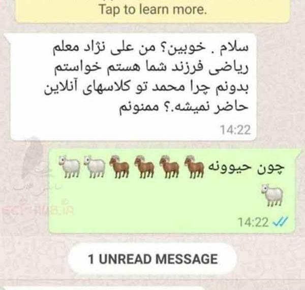 چالش عکس خنده دار نی نی سایت