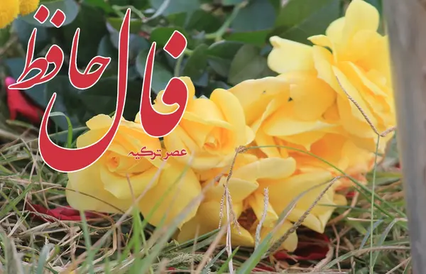 معنی فال حافظ عکس روی تو