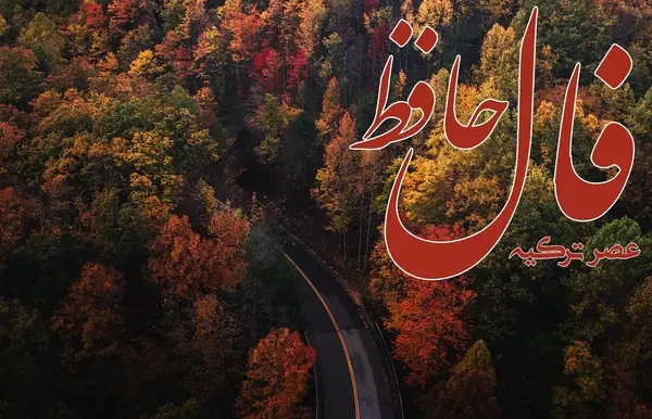 معنی فال حافظ عکس روی تو