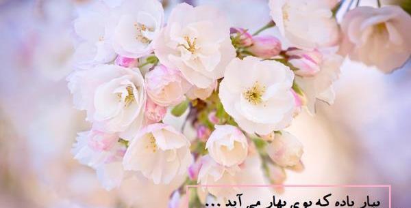 عکس پروفایل بهاری فانتزی