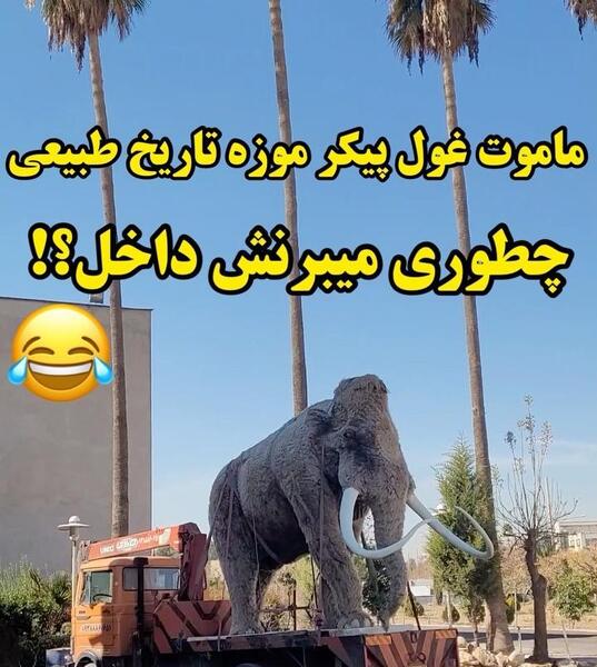عکس از موزه حیوانات شیراز