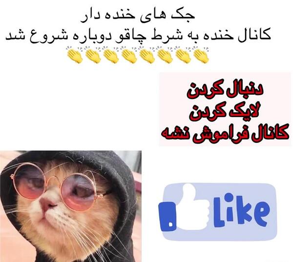جوک عکس خنده دار حیوانات با متن