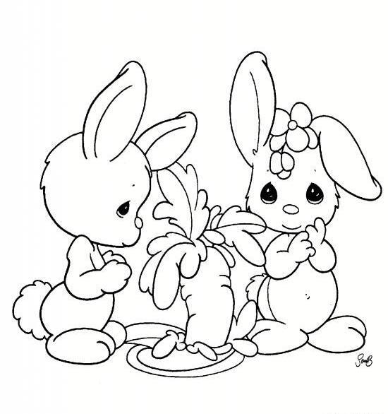 عکس سر خرگوش برای نقاشی