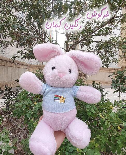 عکس خرگوش رنگین کمان