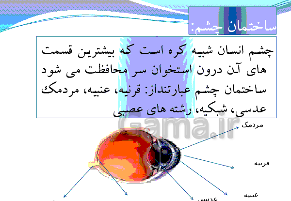 عکس چشم انسان کلاس پنجم