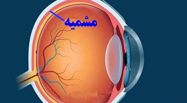 عکس چشم انسان کلاس پنجم