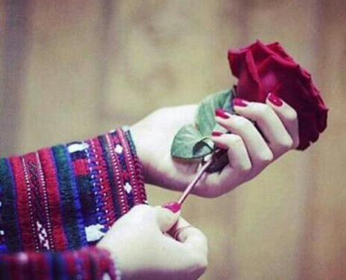 قشنگ ترین عکس برای پروفایل واتساپ