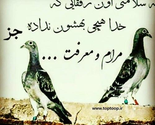عکس خداحافظ رفیق نیمه راه
