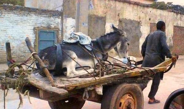 عکس های جالب و خنده دار جدید