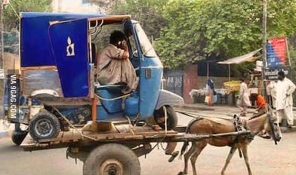 عکس های جالب و خنده دار جدید