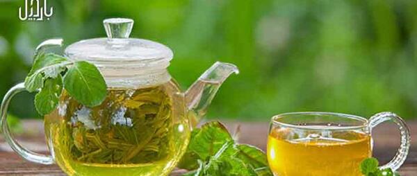 عکس درخت چای سفید