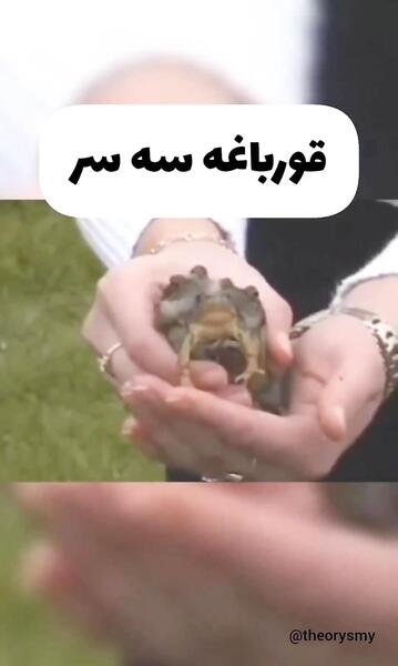 عکس حیوانات جهش یافته