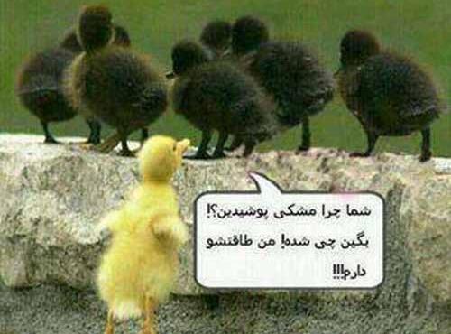 عکس زن زشت و خنده دار