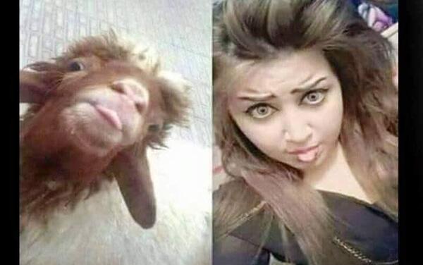 عکس زن زشت و خنده دار