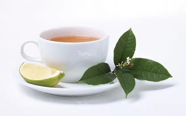 عکس چای و لیمو