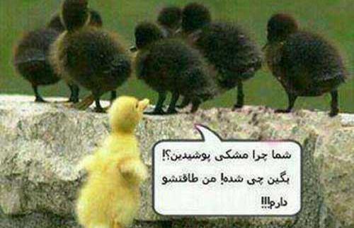 عکس دیدنی های جالب