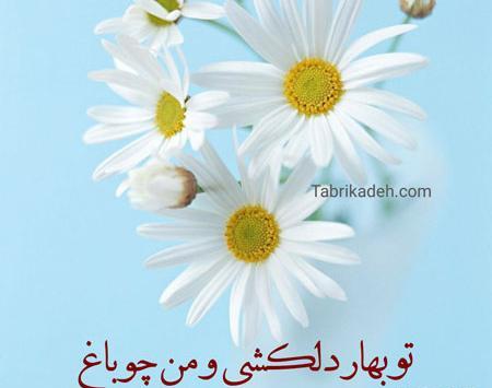 عکس نوشته های شعرهای حافظ