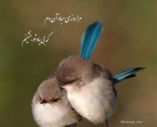 عکس نوشته های شعرهای حافظ