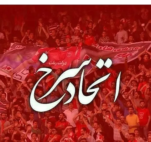 عکس تصویر زمینه شیر پرسپولیس