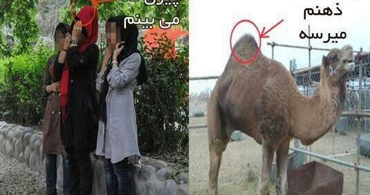 عکس خنده دار مسخره