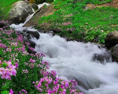عکسهای زیبای طبیعت بهاری