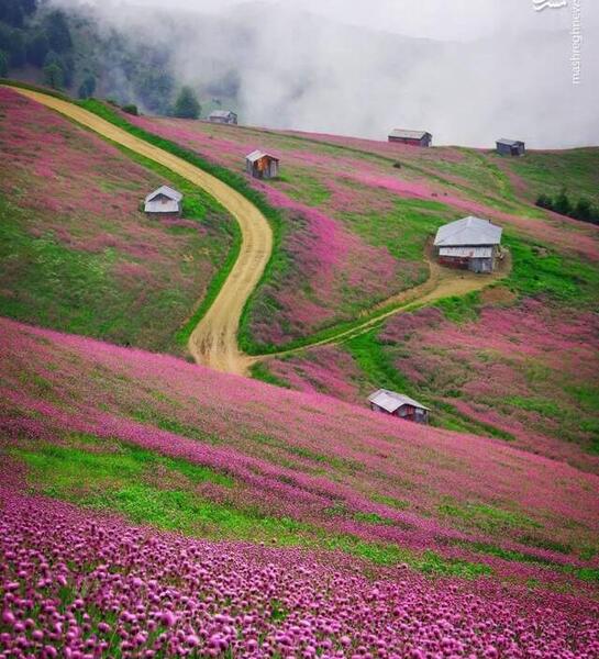 عکسهای زیبای طبیعت بهاری