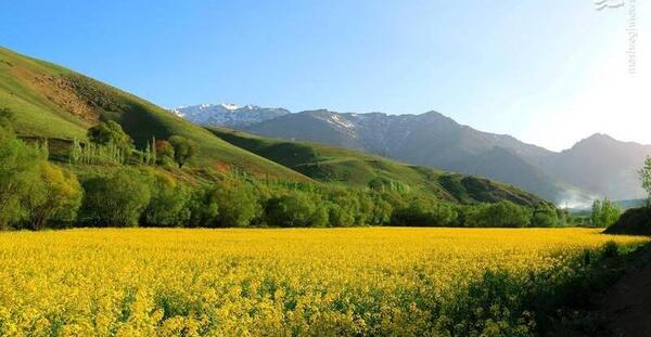 عکسهای زیبای طبیعت بهاری