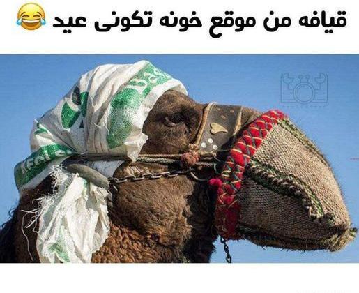 عکس خنده دار دخترانه برای استوری