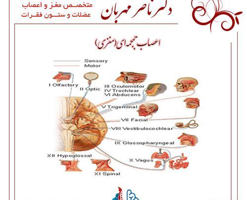 عکس سه شاخه چشم پزشکی