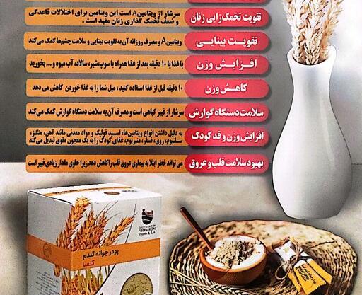 عکس آرد جوانه گندم