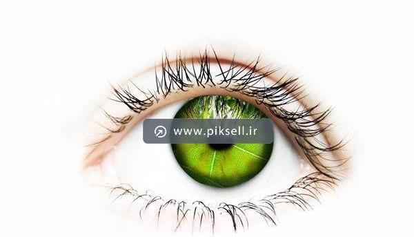 عکس چشم از نمای نزدیک