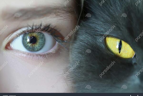 عکس چشم انسان از نزدیک