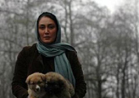 عکس حیوانات های خانگی