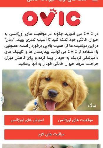 عکس حیوانات های خانگی