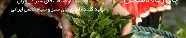 عکس چای رفاه لاهیجان
