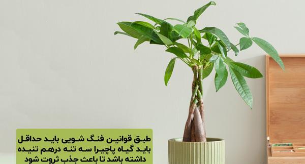 عکس نماد پول و ثروت