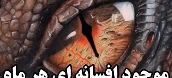 عکس حیوانات افسانه ای ایران