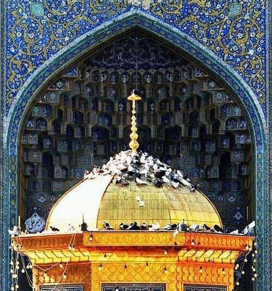 عکس عاشقانه با حرم امام رضا