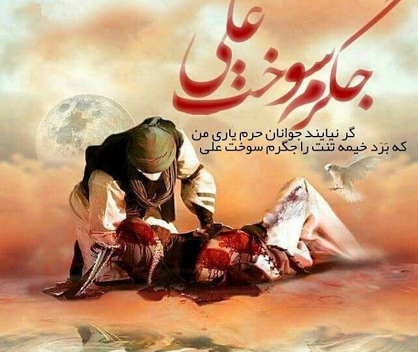 عکس حرم حضرت علی اکبر (ع)
