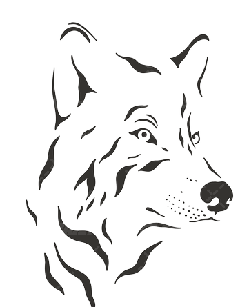 عکس بچه گانه گرگ