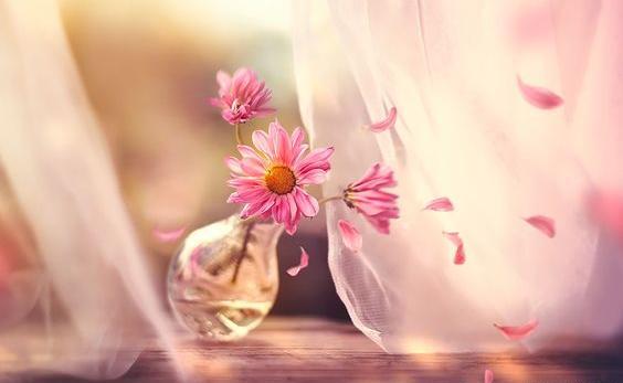 عکس پروفایل بهاری دخترانه فانتزی