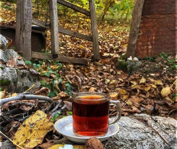 عکس فنجان چای در پاییز