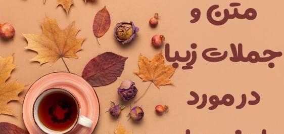 عکس فنجان چای در پاییز