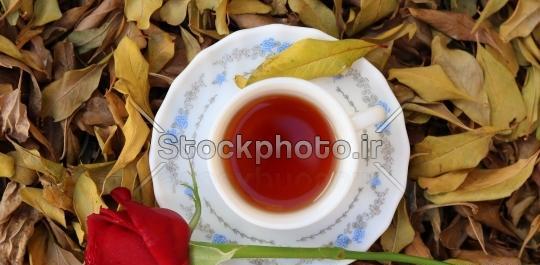 عکس فنجان چای در پاییز