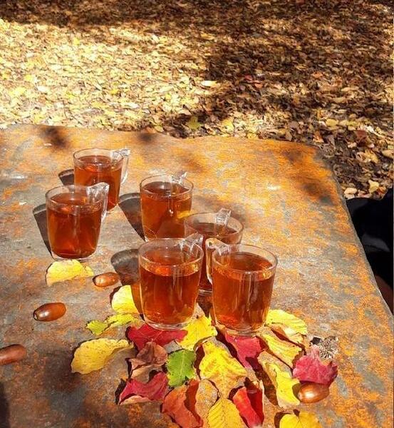 عکس فنجان چای در پاییز